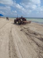 تتواصل عملية تنظيف الشواطئ وغربلة الرمال بالاشتراك مع وكالة حماية و تهيئة الشريط الساحلي حيث تم التدخل اليوم السبت 21 جوان 2025 لتنظيف شاطئ حي بني فتايل السويحل وجمع المواد البلاستكية وندعو كافة المواطنين للمحافظة على  نظافة المحيط.